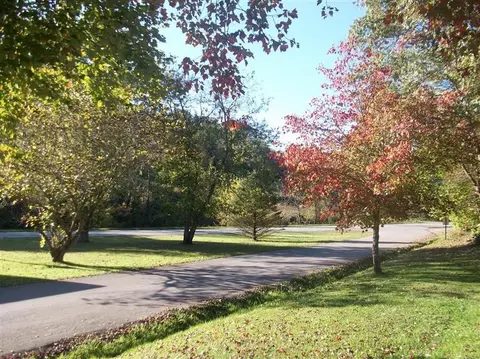 59 Upper Calloway Loop Rd, Mount Vernon, KY 40456 photo 39