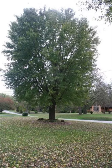 1000 Maple, Stanton, KY 40380 photo 56