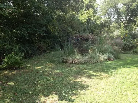 103 Vanwinkle Grv, Berea, KY 40403 photo 3