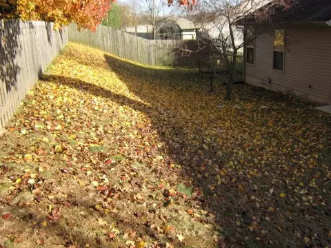 136 Old Post Rd, Paris, KY 40361 photo 15