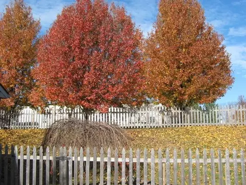 136 Old Post Rd, Paris, KY 40361 photo 4