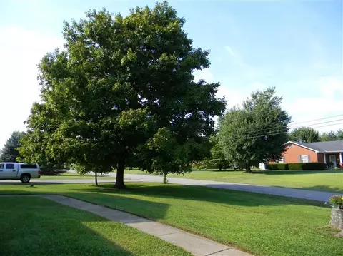266 Fall Lick Rd, Lancaster, KY 40444 photo 16