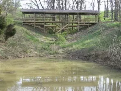 539 Phelps Rd, Richmond, KY 40475 photo 6