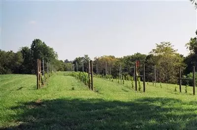 539 Phelps Rd, Richmond, KY 40475 photo 30