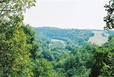 539 Phelps Rd, Richmond, KY 40475 photo 3