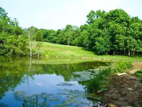 501 Gunnell Rd, Georgetown, KY 40324 photo 12