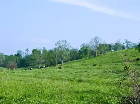 501 Gunnell Rd, Georgetown, KY 40324 photo 14