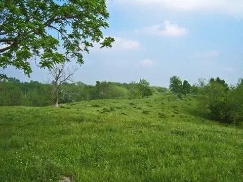 501 Gunnell Rd, Georgetown, KY 40324 photo 6