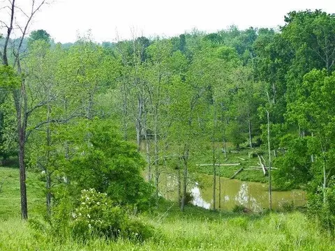 501 Gunnell Rd, Georgetown, KY 40324 photo 11