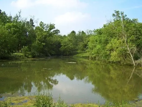 501 Gunnell Rd, Georgetown, KY 40324 photo 7