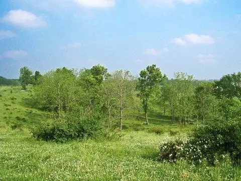 501 Gunnell Rd, Georgetown, KY 40324 photo 5