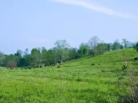 501 Gunnell Rd, Georgetown, KY 40324 photo 13