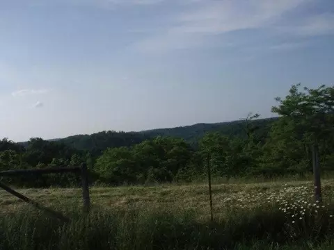 1184 Upper Dry Fork Rd, Mckee, KY 40447 photo 3