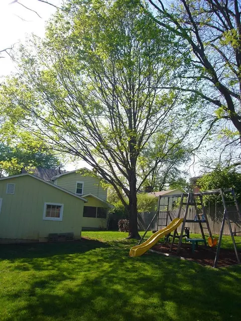 514 Estill Ct, Georgetown, KY 40324 photo 44