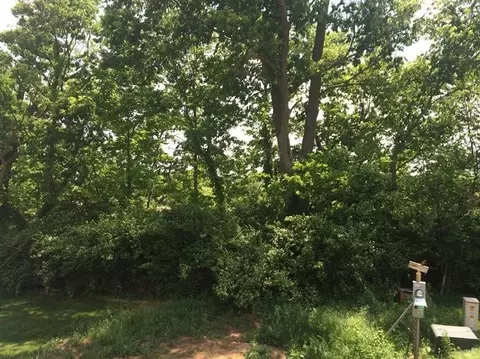 165 Stephen Dr, Georgetown, KY 40324 photo 6