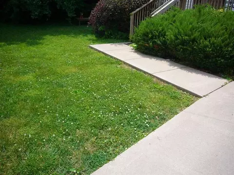 332 Harmon Ct, Georgetown, KY 40324 photo 2