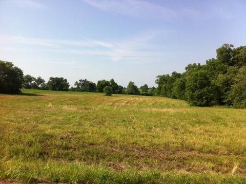 116 Grable Ln, Georgetown, KY 40324 photo 2