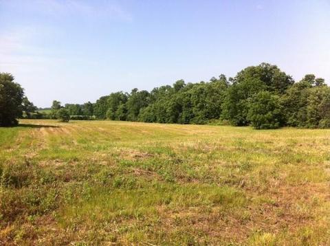 116 Grable Ln, Georgetown, KY 40324 photo 3