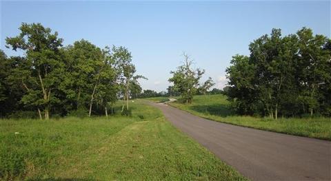 116 Grable Ln, Georgetown, KY 40324 photo 4