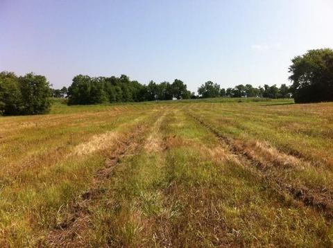 116 Grable Ln, Georgetown, KY 40324 photo 1