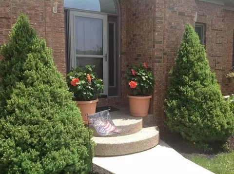 116 Prater Dr, Georgetown, KY 40324 photo 2