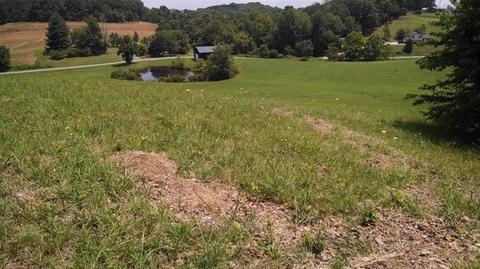 314 Zekes Point Rd, Tyner, KY 40486 photo 1