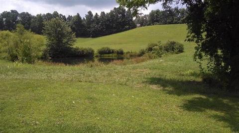 314 Zekes Point Rd, Tyner, KY 40486 photo 5