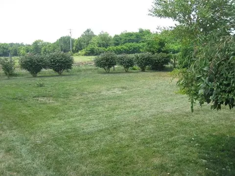 131 Grisham Dr, Georgetown, KY 40324 photo 8