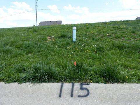 115 Blowing Tree Dr, Georgetown, KY 40324 photo 1