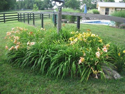 760 Carrick Pike, Georgetown, KY 40324 photo 55