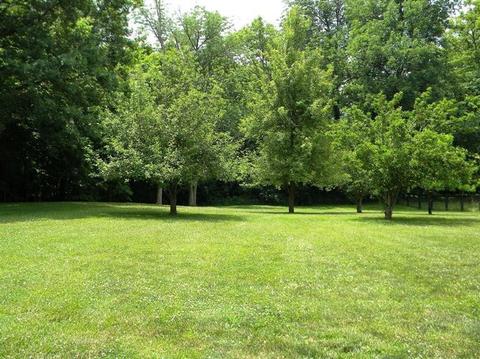 760 Carrick Pike, Georgetown, KY 40324 photo 58