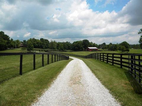 760 Carrick Pike, Georgetown, KY 40324 photo 82