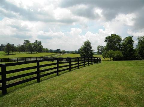 760 Carrick Pike, Georgetown, KY 40324 photo 35