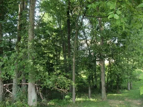 102 Coveside Ct, Georgetown, KY 40324 photo 59