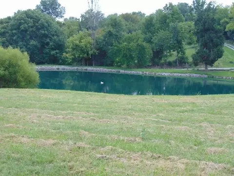 355 E Bill Eads Rd, Richmond, KY 40475 photo 37