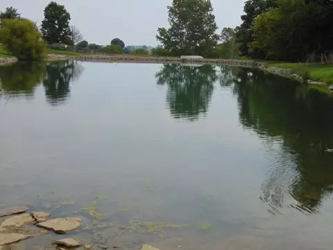355 E Bill Eads Rd, Richmond, KY 40475 photo 32