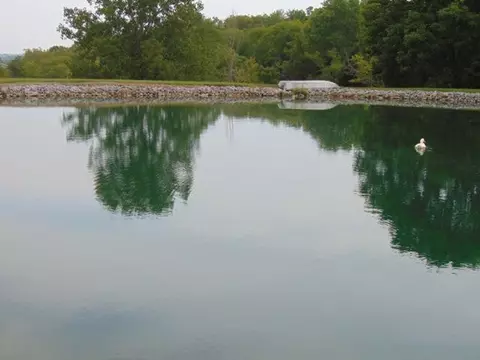 355 E Bill Eads Rd, Richmond, KY 40475 photo 35