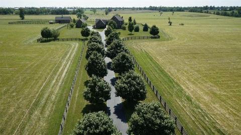 1045 Cane Run Rd, Georgetown, KY 40324 photo 7