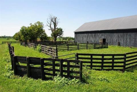 1045 Cane Run Rd, Georgetown, KY 40324 photo 22