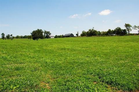 1045 Cane Run Rd, Georgetown, KY 40324 photo 19