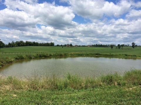 1045 Cane Run Rd, Georgetown, KY 40324 photo 13