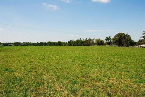 1045 Cane Run Rd, Georgetown, KY 40324 photo 23