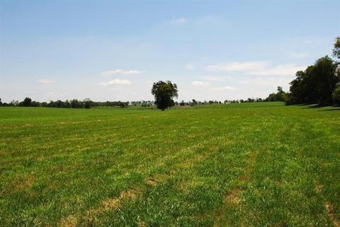 1045 Cane Run Rd, Georgetown, KY 40324 photo 17