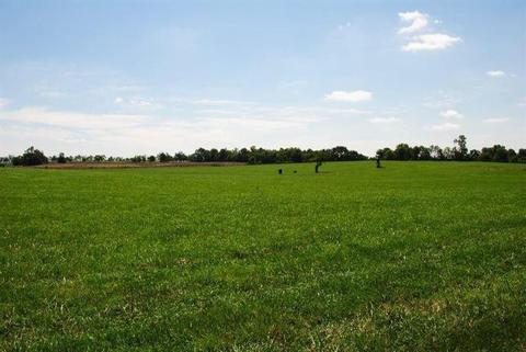 1045 Cane Run Rd, Georgetown, KY 40324 photo 16