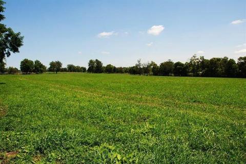 1045 Cane Run Rd, Georgetown, KY 40324 photo 21