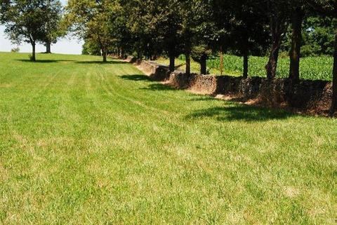 1045 Cane Run Rd, Georgetown, KY 40324 photo 27
