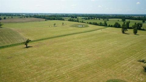 1045 Cane Run Rd, Georgetown, KY 40324 photo 6