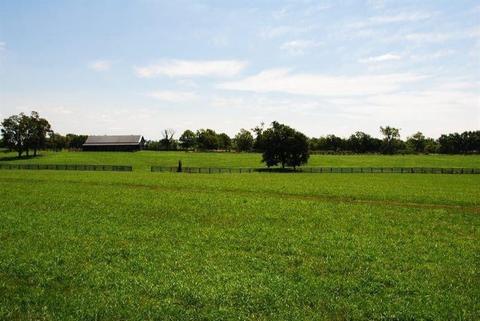 1045 Cane Run Rd, Georgetown, KY 40324 photo 18
