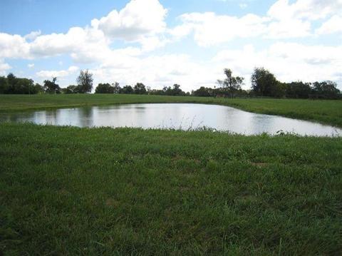 1045 Cane Run Rd, Georgetown, KY 40324 photo 14