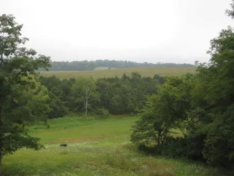 104 Brooks Ln, Georgetown, KY 40324 photo 6